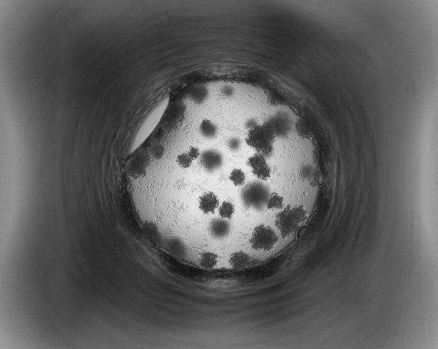 X0000083600653200703091742