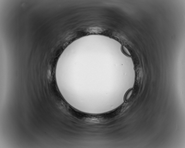 X0000083600655200703091742