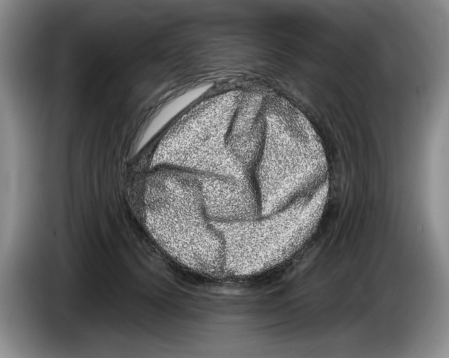 X0000083600656200703091742