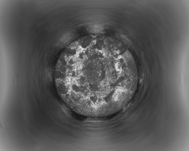 X0000083600658200703091742