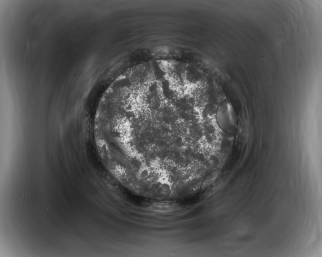 X0000083600659200703091742