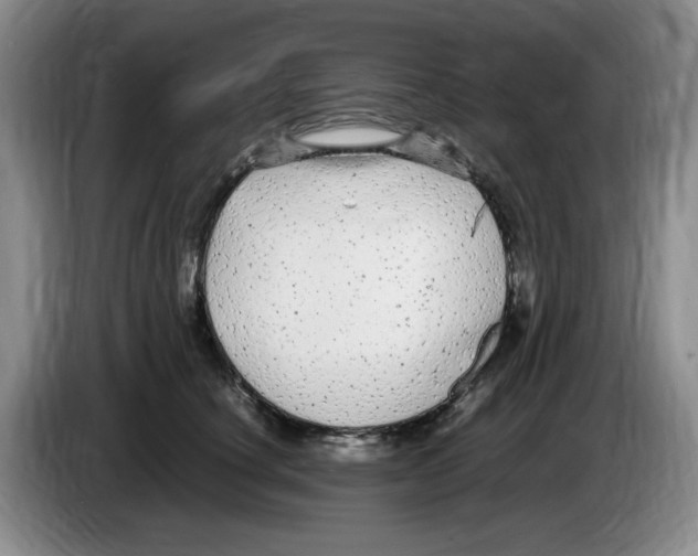 X0000083600660200703091742