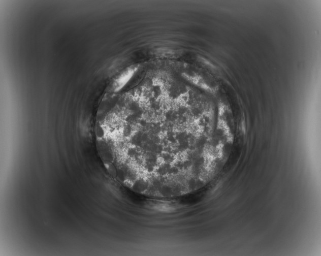 X0000083600663200703091742