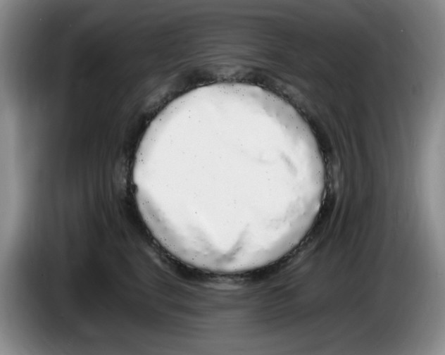 X0000083600664200703091742