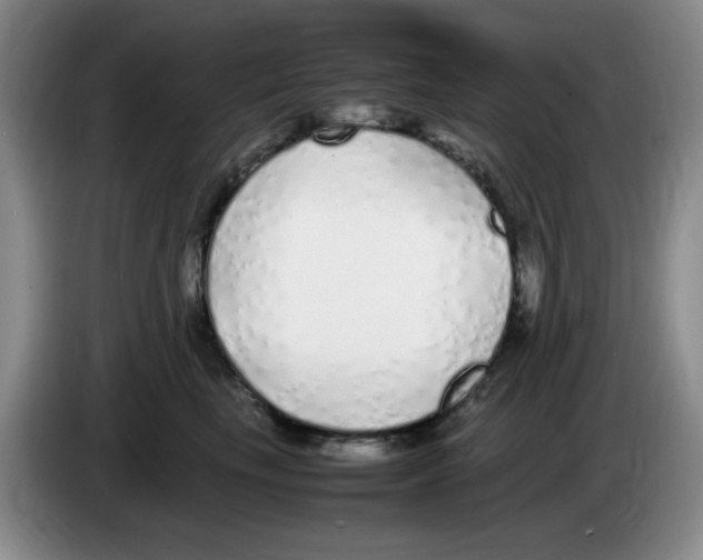 X0000083600665200703091742