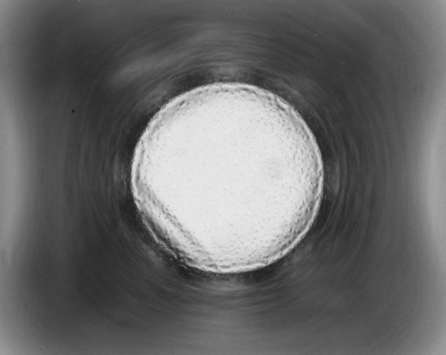 X0000083600666200703091742