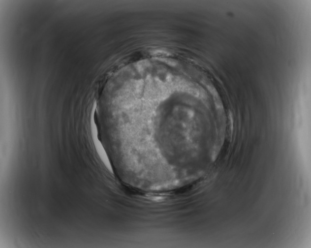 X0000083600667200703091742