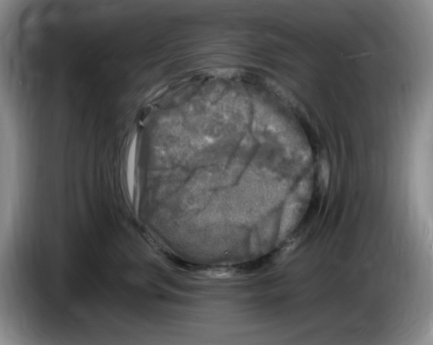 X0000083600668200703091742