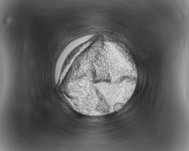 X0000083600670200703091742