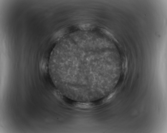 X0000083600671200703091742