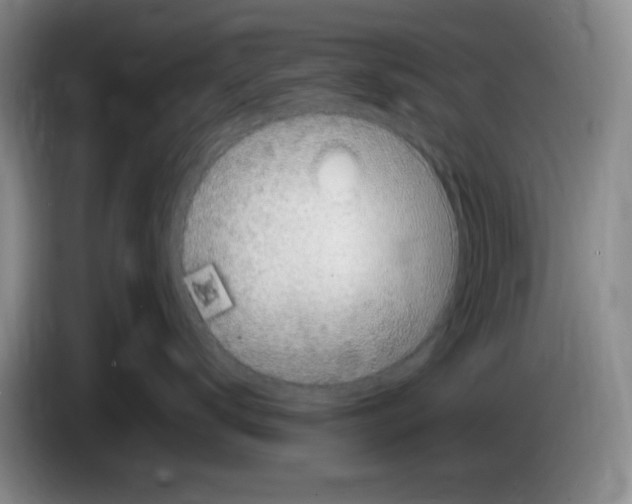 X0000083600672200703091742