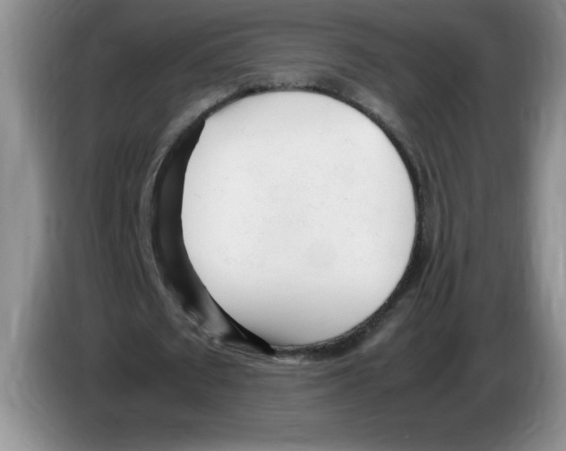 X0000083600673200703091742