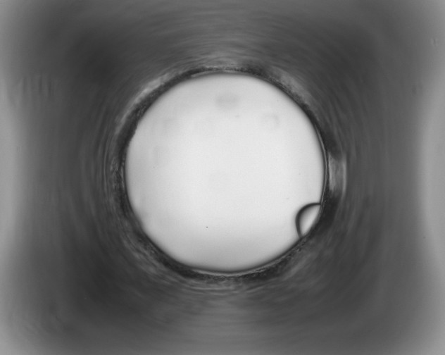 X0000083600675200703091742