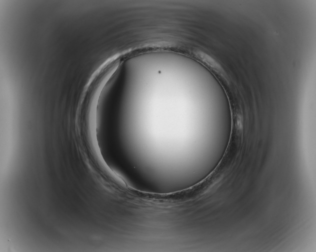 X0000083600676200703091742