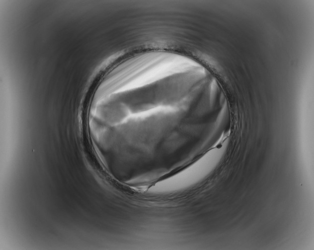 X0000083600678200703091742