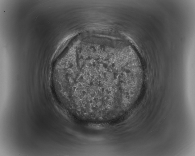 X0000083600679200703091742