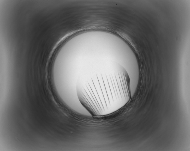 X0000083600680200703091742