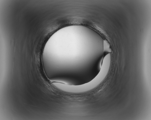 X0000083600681200703091742