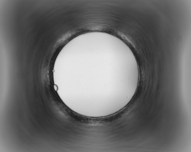 X0000083600682200703091742