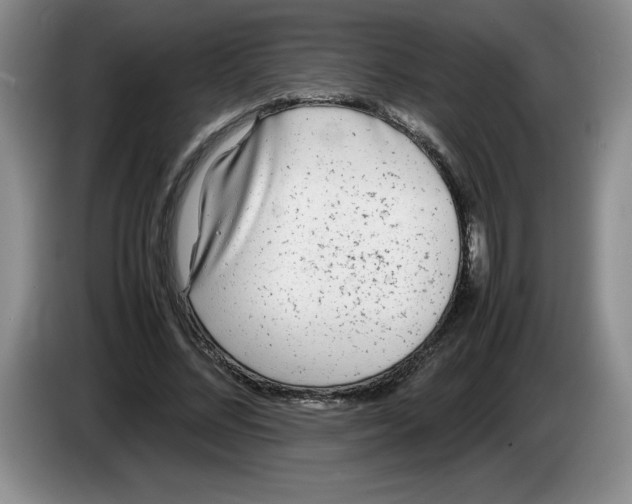 X0000083600684200703091742