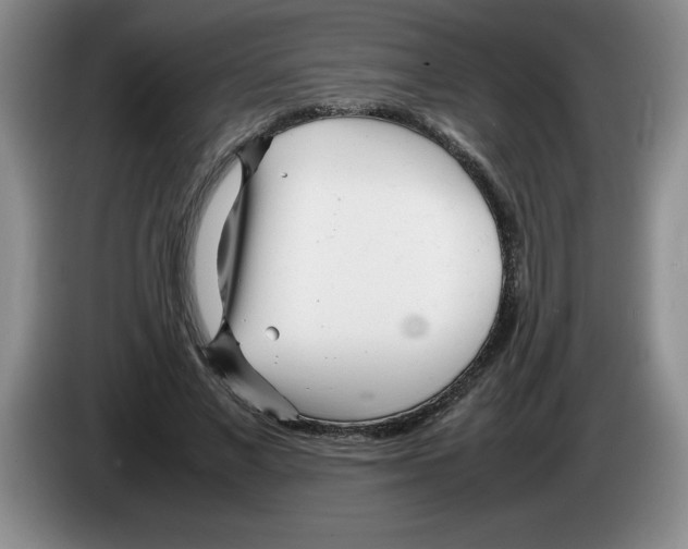 X0000083600685200703091742