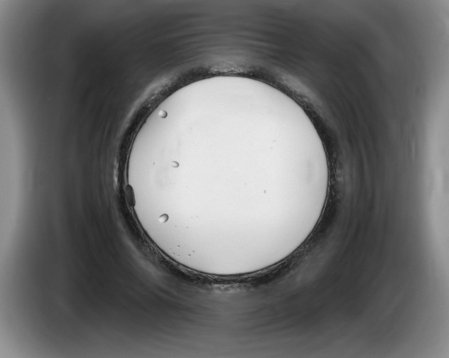 X0000083600686200703091742