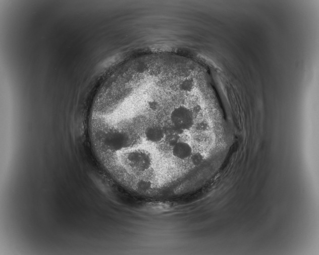 X0000083600687200703091741