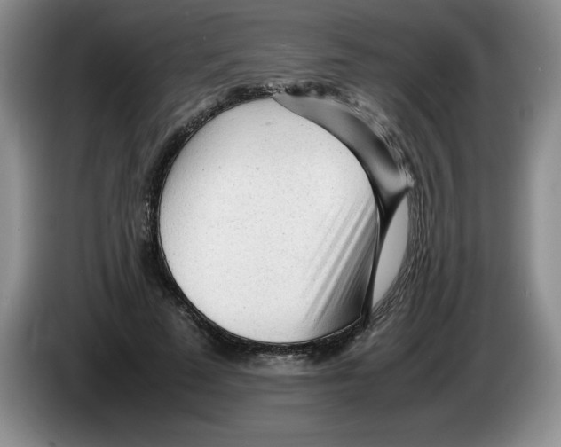 X0000083600689200703091741