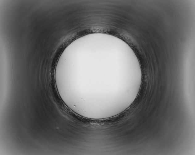 X0000083600690200703091741