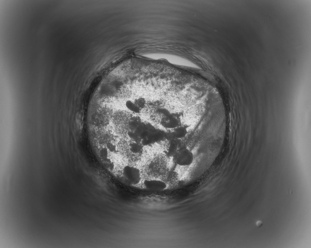 X0000083600691200703091741