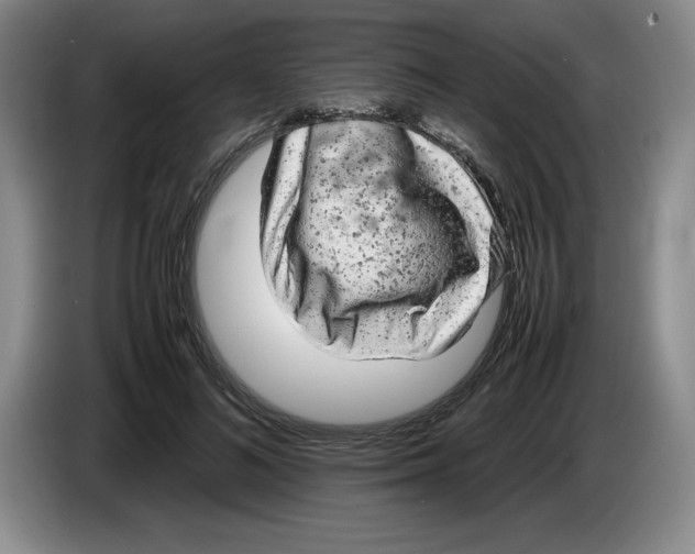 X0000083600692200703091741