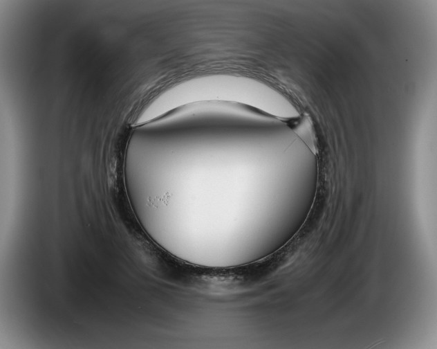 X0000083600693200703091741