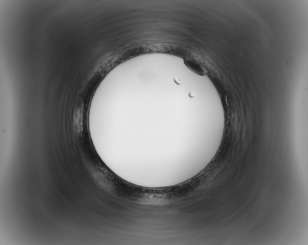 X0000083600694200703091741