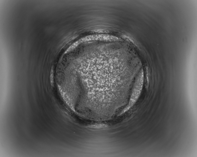 X0000083600696200703091741