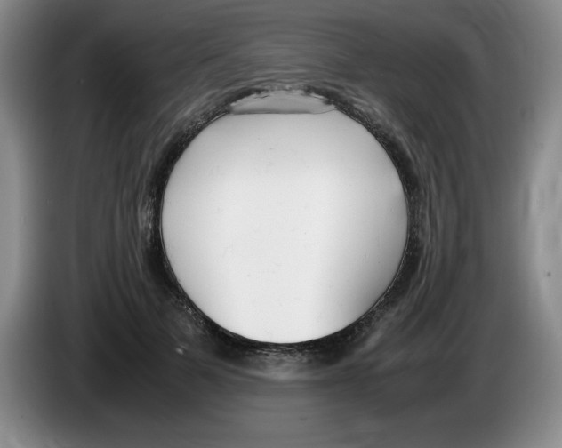 X0000083600697200703091741