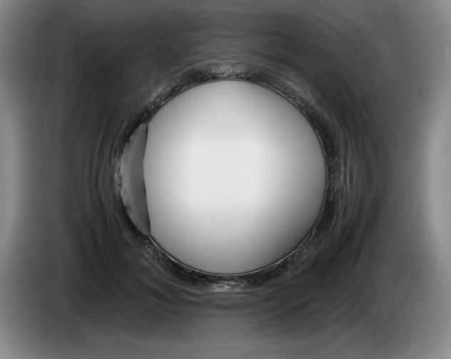 X0000083600700200703091741