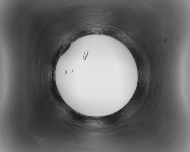 X0000083600702200703091741