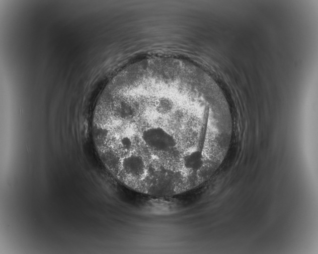 X0000083600703200703091741