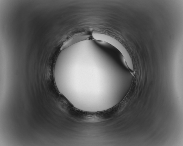 X0000083600704200703091741