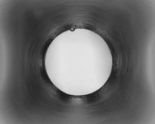 X0000083600706200703091741