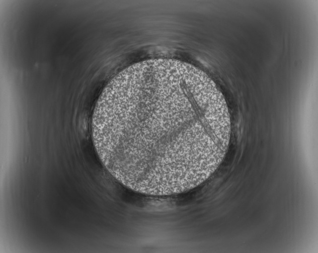 X0000083600709200703091741