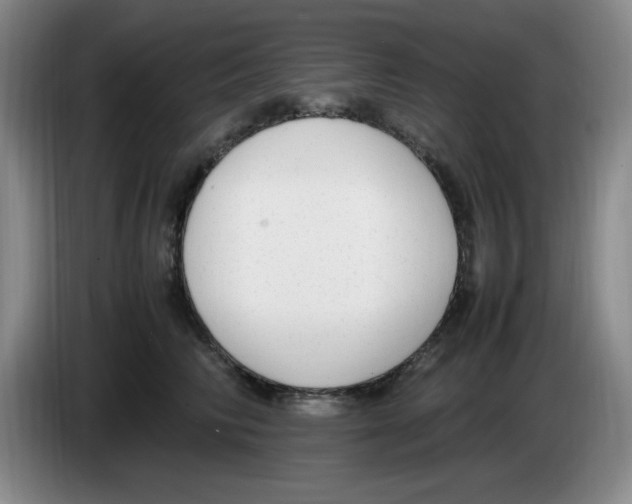 X0000083600710200703091741