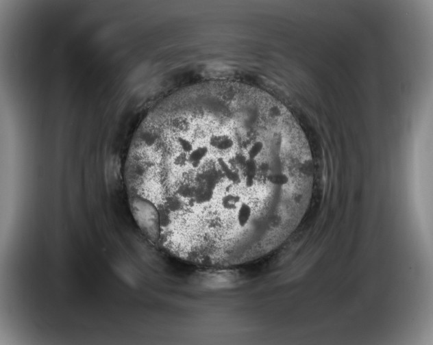 X0000083600711200703091741