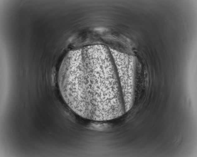 X0000083600712200703091741