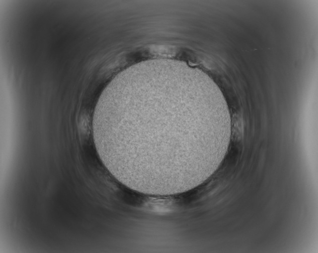 X0000083600713200703091741