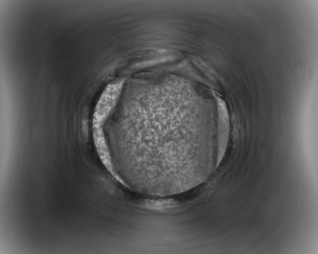 X0000083600716200703091741