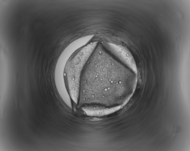 X0000083600718200703091741