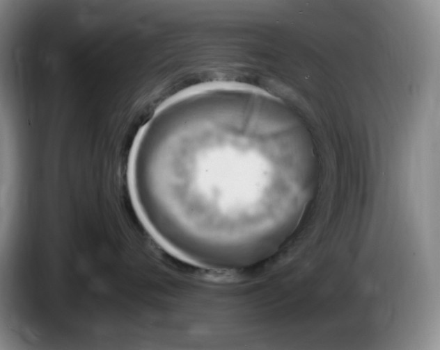 X0000083600720200703091741