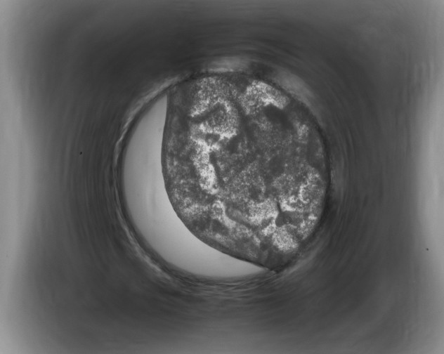 X0000083600721200703091740