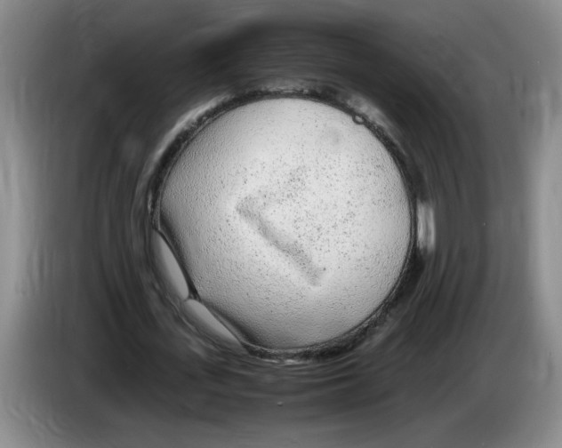 X0000083600723200703091740